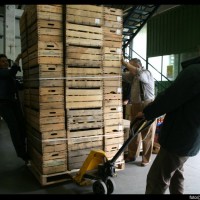 immagine lavoro